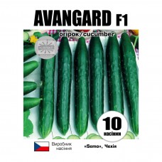 Огірки Авангард F1 (Avangard F1)